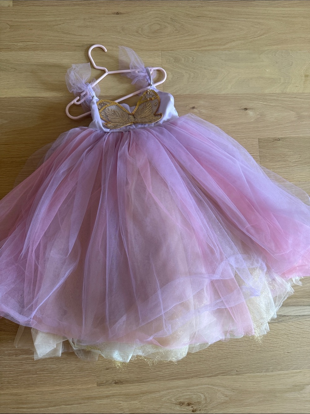 Pottery Barn Pink and Gold Tulle Princess Dress for Kids